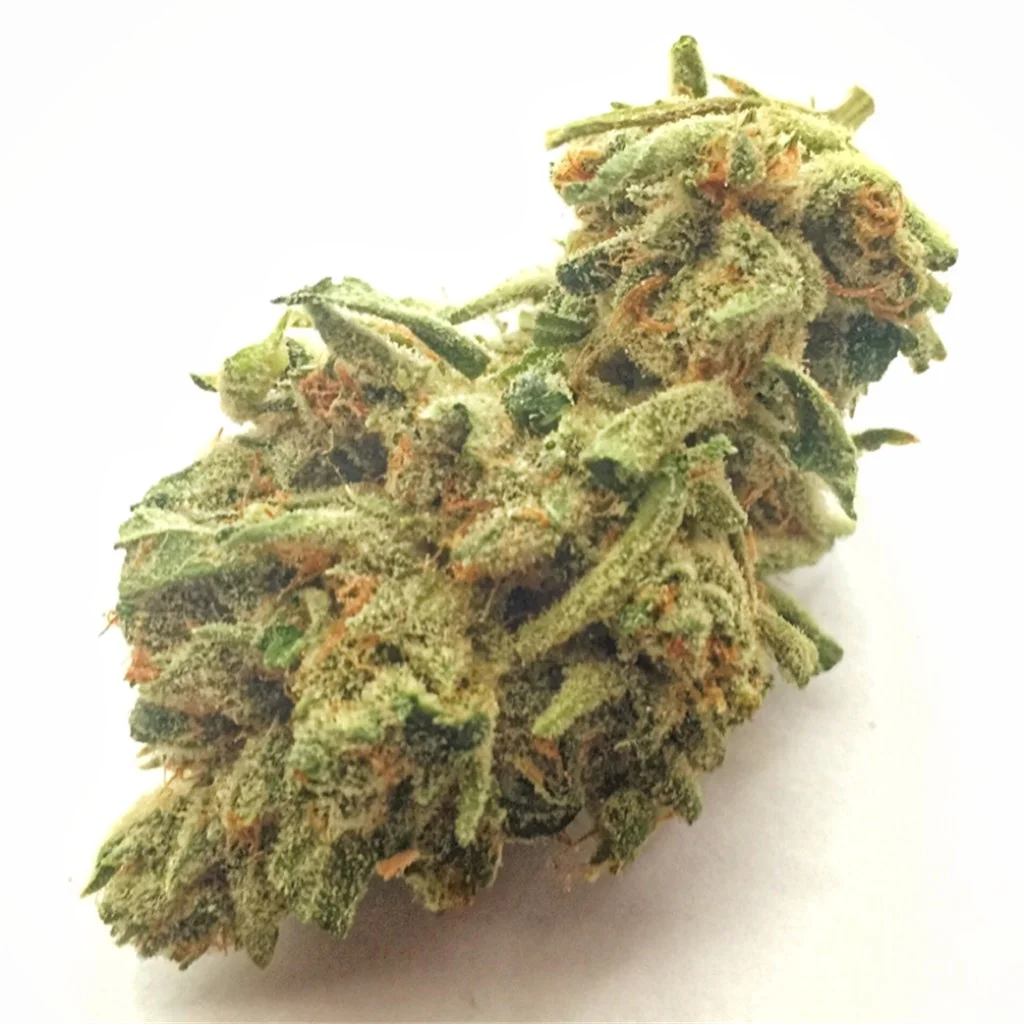 buy weed online Italy